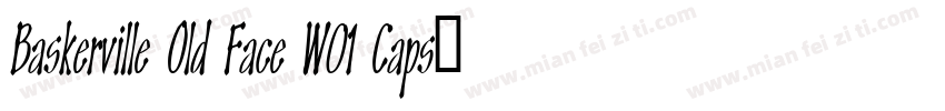 Baskerville Old Face W01 Caps字体转换
